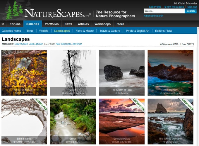 Editors-pick_like-af-frame