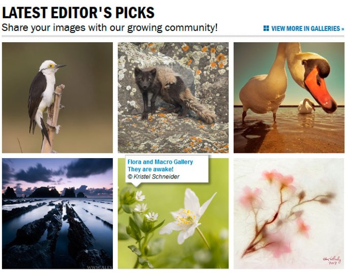 editors-pick-They-are-Wake