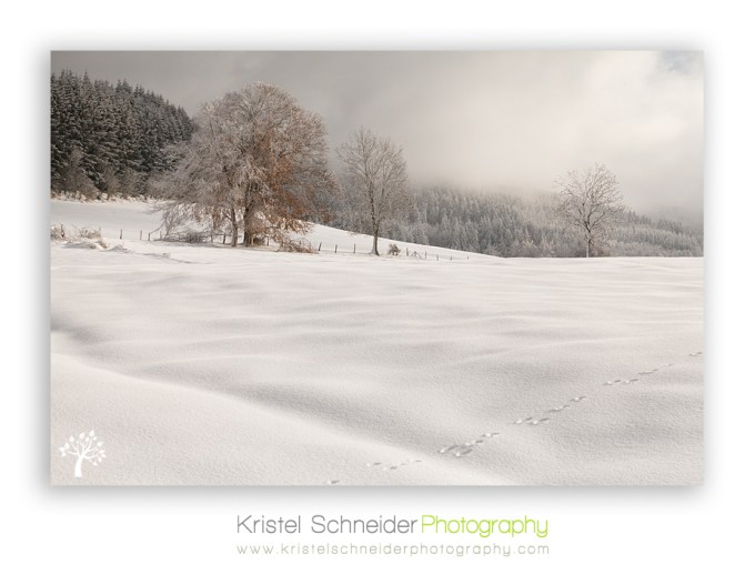 Livradois-Forez-winter-scenery auvergne