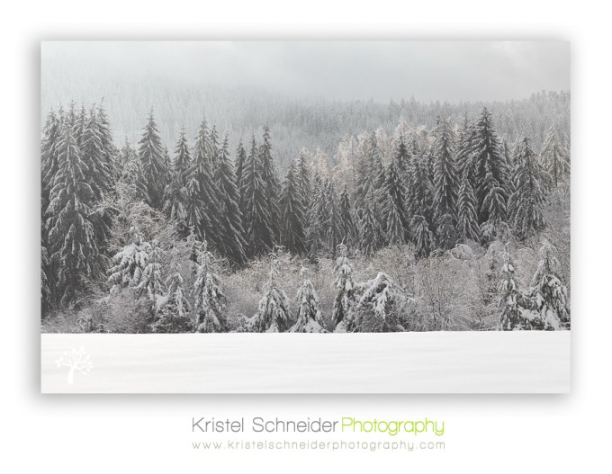 Livradois-Forez-winter-scenery_2