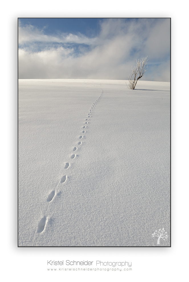 Summit-Montagne-des-Allebasses_6