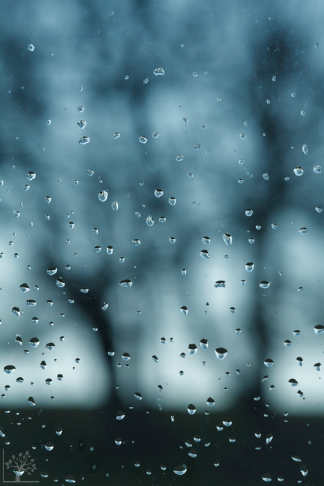 (c) Kristel Schneider