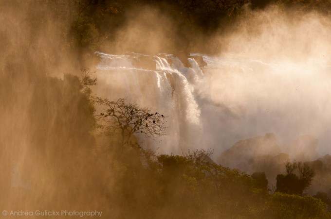 Brazilie favoriete foto