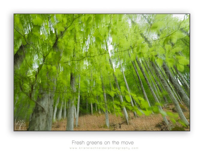 Fresh-greens-on-the-move