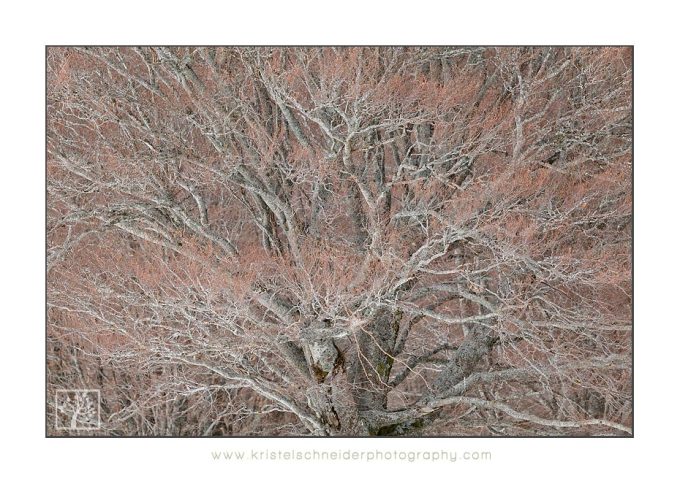 vallée-de-chaudefour_8