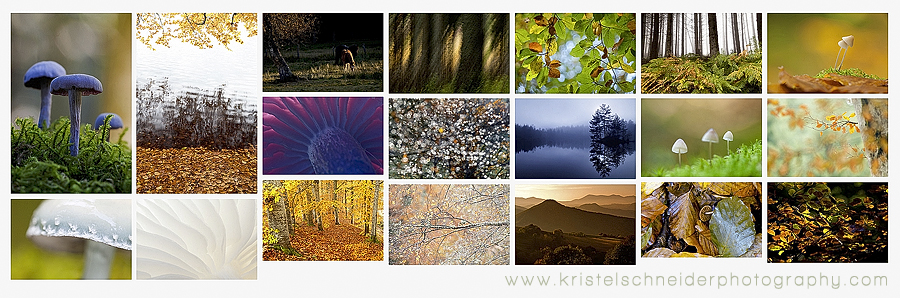 Autumn-in-Auvergne_2