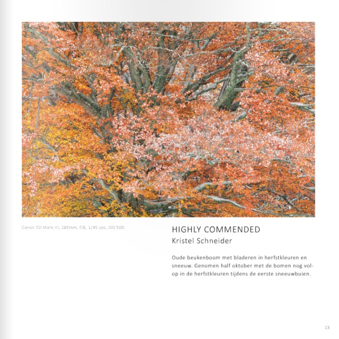 Highly commended Lowland fotofestival