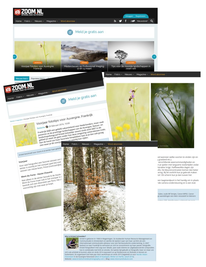 Zoom blog publicatie