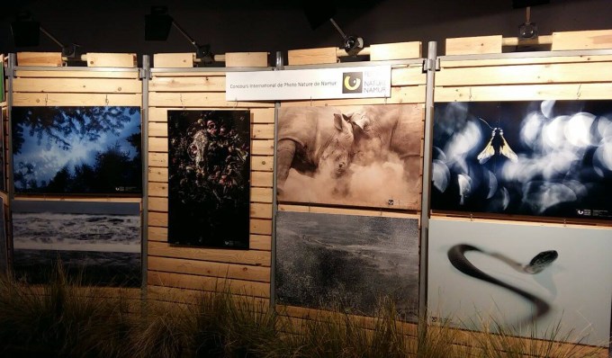 winning-images-nature-namur-2017