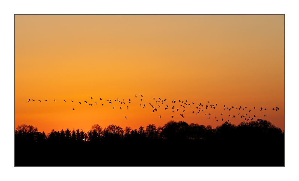 Estland_Lahemaa-National-Park_15-website