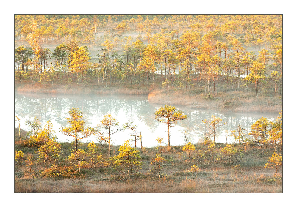 Jogeva-Country_Jogevamaa_10-website