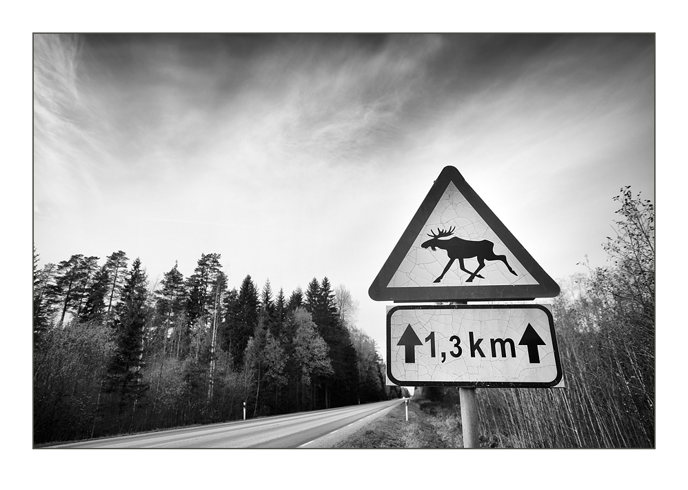 Jogeva-Country_Jogevamaa_37web